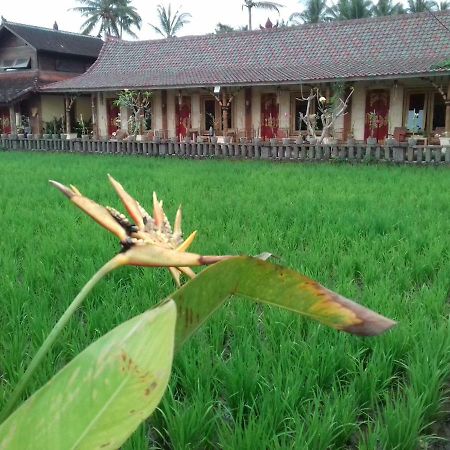 Rice Padi Artha Hotel Ubud Exterior foto